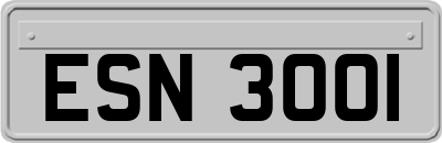 ESN3001