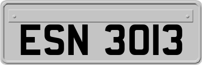 ESN3013