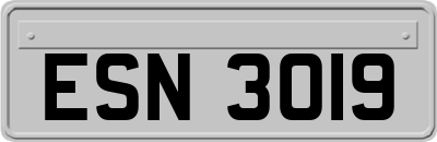 ESN3019