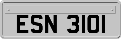 ESN3101