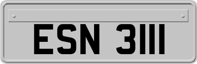 ESN3111