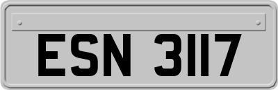 ESN3117