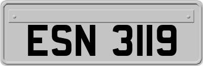 ESN3119