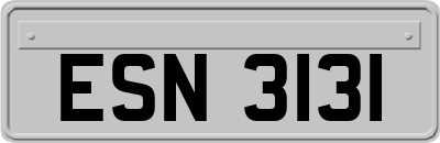 ESN3131