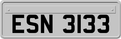 ESN3133