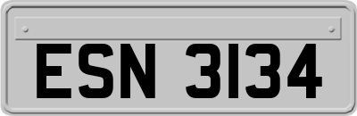 ESN3134