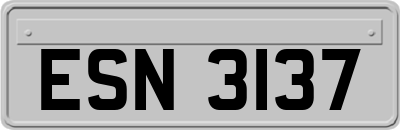 ESN3137