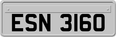 ESN3160