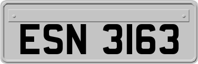 ESN3163