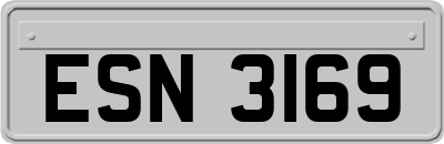 ESN3169