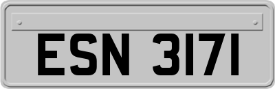 ESN3171