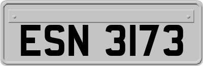 ESN3173