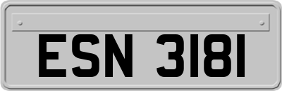 ESN3181