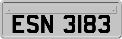 ESN3183