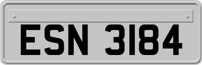 ESN3184