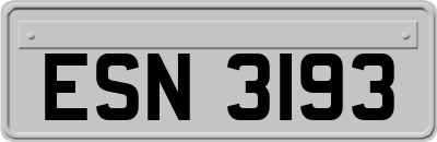 ESN3193