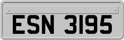 ESN3195