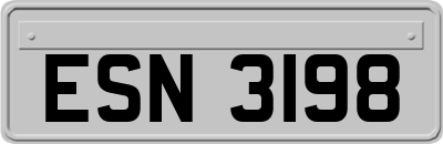 ESN3198