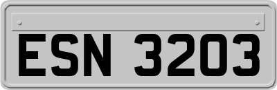 ESN3203