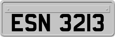 ESN3213