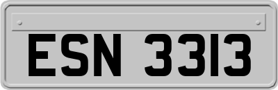 ESN3313