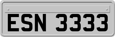 ESN3333