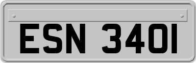 ESN3401