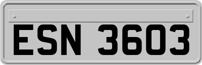ESN3603