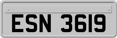 ESN3619
