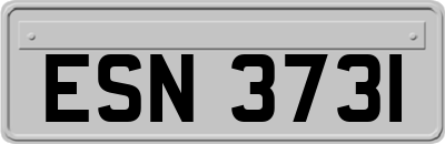 ESN3731