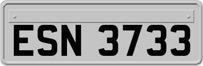 ESN3733