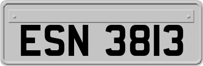 ESN3813