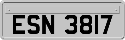 ESN3817