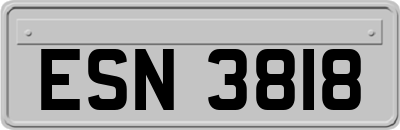 ESN3818
