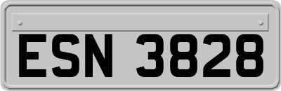 ESN3828