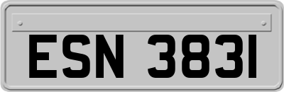 ESN3831