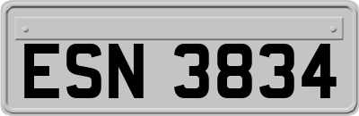 ESN3834