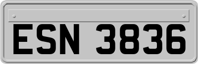 ESN3836
