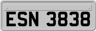 ESN3838