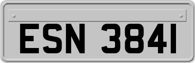 ESN3841