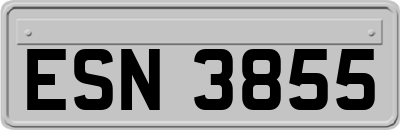 ESN3855