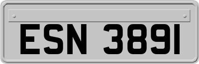 ESN3891