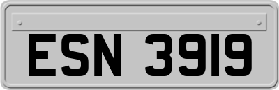 ESN3919