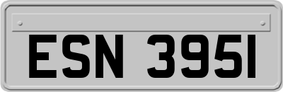 ESN3951