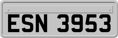 ESN3953