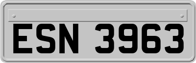 ESN3963
