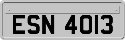 ESN4013