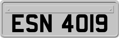 ESN4019