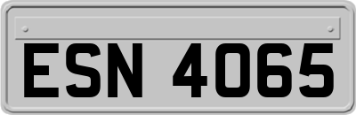 ESN4065