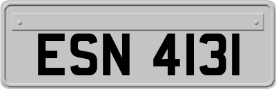 ESN4131